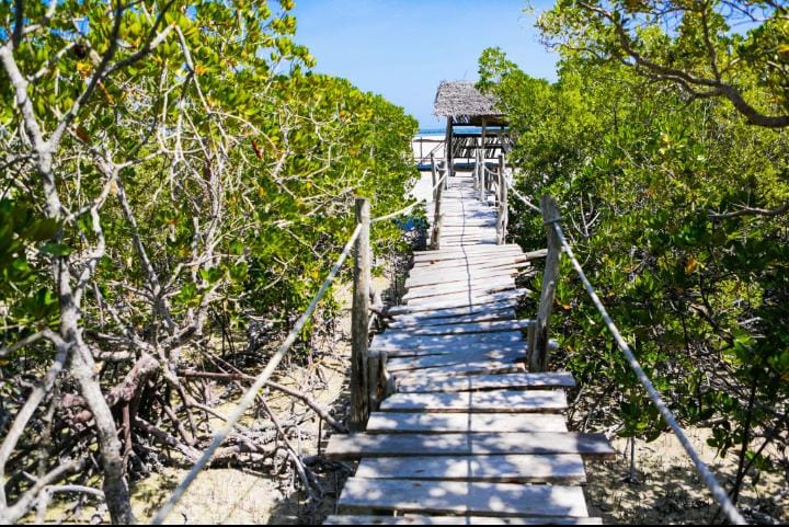 Mida Boardwalk and Canoe